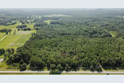 Ne Hwy 353, Old Town, FL 32680 - Photo 9