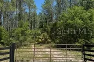 NE Hwy 353, Old Town, FL 32680 - Photo 1
