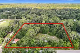 1007 Hawthorn St, Zephyrhills, FL 33540 - Photo 9