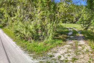 1007 Hawthorn St, Zephyrhills, FL 33540 - Photo 11