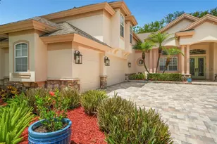 209 Highland Woods Dr, Safety Harbor, FL 34695 - Photo 91
