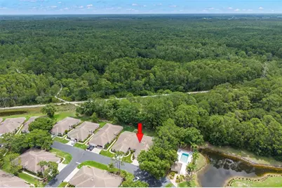 4405 Connery Court, Palm Harbor, FL 34685 - Photo 33