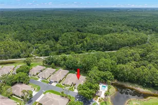 4405 Connery Ct, Palm Harbor, FL 34685 - Photo 33