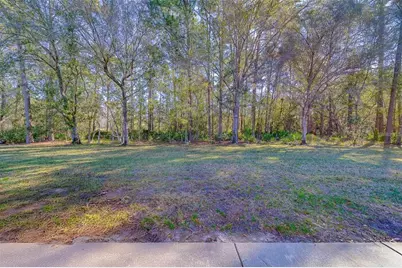 4405 Connery Court, Palm Harbor, FL 34685 - Photo 3