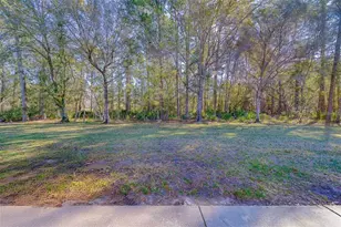 4405 Connery Ct, Palm Harbor, FL 34685 - Photo 3
