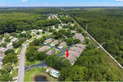 4405 Connery Court, Palm Harbor, FL 34685 - Photo 31