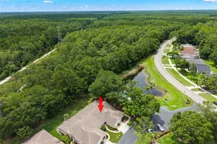 4405 Connery Ct, Palm Harbor, FL 34685 - Photo 33