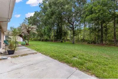 4405 Connery Court, Palm Harbor, FL 34685 - Photo 25