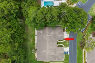 4405 Connery Ct, Palm Harbor, FL 34685 - Photo 35