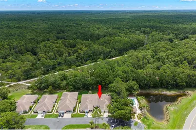 4405 Connery Court, Palm Harbor, FL 34685 - Photo 39