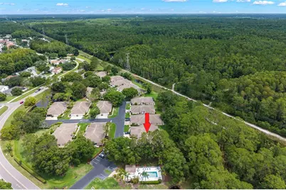4405 Connery Court, Palm Harbor, FL 34685 - Photo 37