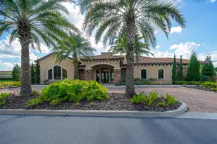 20111 Sorano Hill Pl, Tampa, FL 33647 - Photo 45