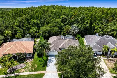 6123 Savoy Circle, Lutz, FL 33558 - Photo 59