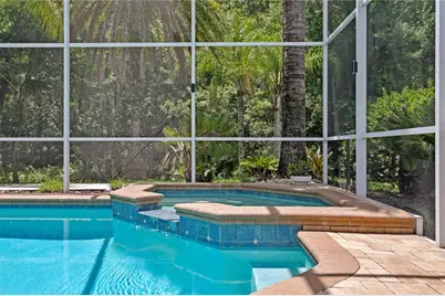 6123 Savoy Circle, Lutz, FL 33558 - Photo 41