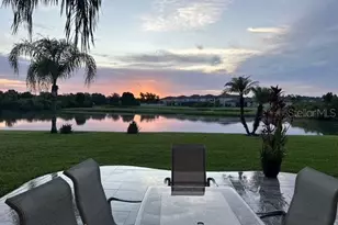 20017 Painting Nature Ln, Tampa, FL 33647 - Photo 37