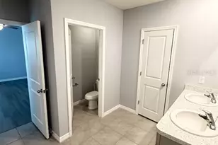 17029 Blister Wing Dr, Wimauma, FL 33598 - Photo 33