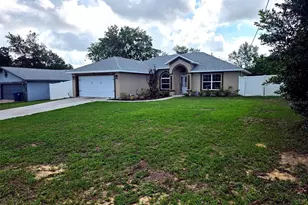 5434 Parnell Ave, Spring Hill, FL 34608 - Photo 3
