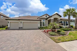 33164 Kateland Dr, Wesley Chapel, FL 33545 - Photo 7