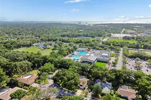 515 Sandy Hook Rd, Palm Harbor, FL 34683 - Photo 65