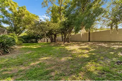 515 Sandy Hook Road, Palm Harbor, FL 34683 - Photo 49