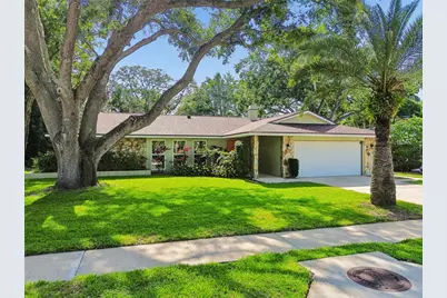 515 Sandy Hook Road, Palm Harbor, FL 34683 - Photo 59