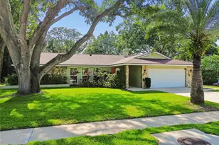 515 Sandy Hook Rd, Palm Harbor, FL 34683 - Photo 59