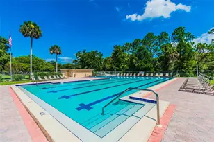 515 Sandy Hook Rd, Palm Harbor, FL 34683 - Photo 73