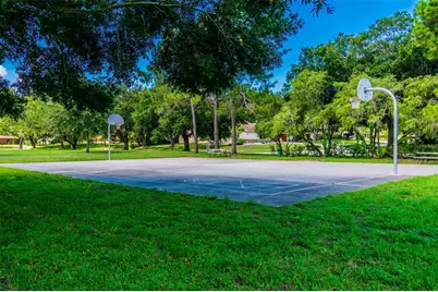 515 Sandy Hook Road, Palm Harbor, FL 34683 - Photo 79