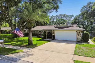 515 Sandy Hook Rd, Palm Harbor, FL 34683 - Photo 57