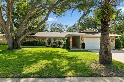 515 Sandy Hook Road, Palm Harbor, FL 34683 - Photo 3