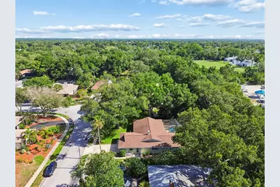 515 Sandy Hook Road, Palm Harbor, FL 34683 - Photo 63
