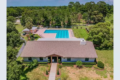 515 Sandy Hook Road, Palm Harbor, FL 34683 - Photo 67