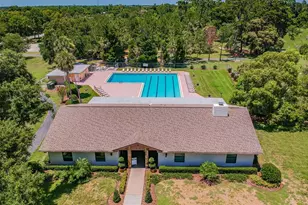 515 Sandy Hook Rd, Palm Harbor, FL 34683 - Photo 67