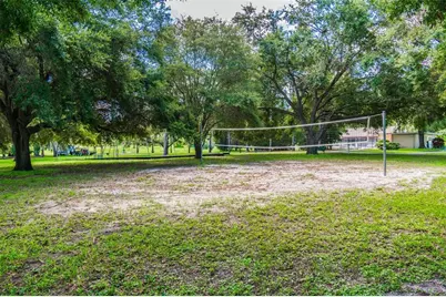 515 Sandy Hook Road, Palm Harbor, FL 34683 - Photo 73