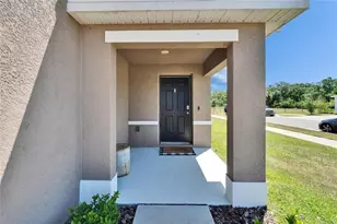 16894 Delia St, Wimauma, FL 33598 - Photo 3