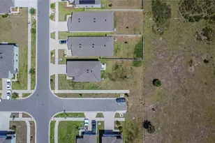 16894 Delia St, Wimauma, FL 33598 - Photo 53
