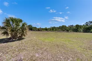 16894 Delia St, Wimauma, FL 33598 - Photo 45