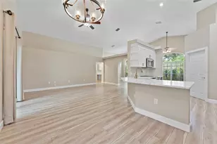 4287 Tremblay Way, Palm Harbor, FL 34685 - Photo 11