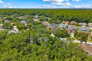 4287 Tremblay Way, Palm Harbor, FL 34685 - Photo 39