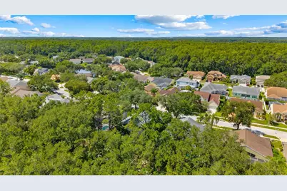 4287 Tremblay Way, Palm Harbor, FL 34685 - Photo 43