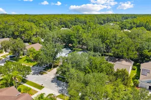 4287 Tremblay Way, Palm Harbor, FL 34685 - Photo 45