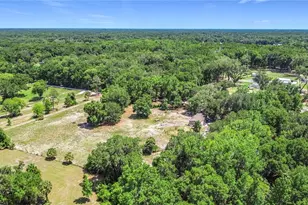 1689 NE 189 Ln, Citra, FL 32113 - Photo 35