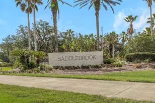 5331 Sand Crane Ct, Wesley Chapel, FL 33543 - Photo 63