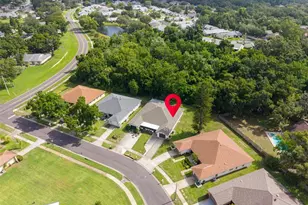 3472 MacLaren Dr, Palm Harbor, FL 34684 - Photo 31