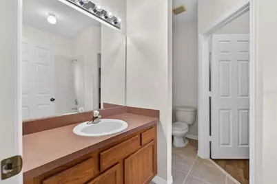 30132 Mossbank Drive, Wesley Chapel, FL 33543 - Photo 39