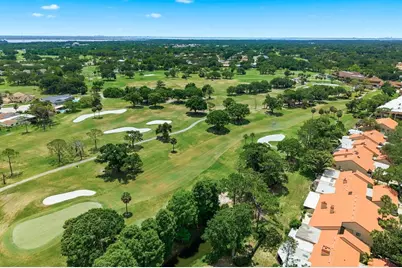 3055 Braeloch Circle W, Clearwater, FL 33761 - Photo 61