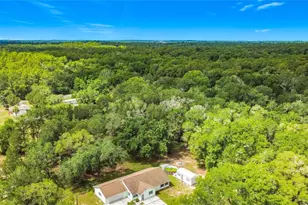 1666 N Croft Ave, Inverness, FL 34453 - Photo 53