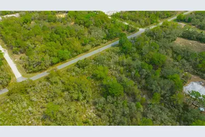 35166 Cornerstone Drive, Ridge Manor Estates, FL 33597 - Photo 19