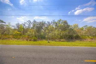 35166 Cornerstone Dr, Ridge Manor Estates, FL 33597 - Photo 1