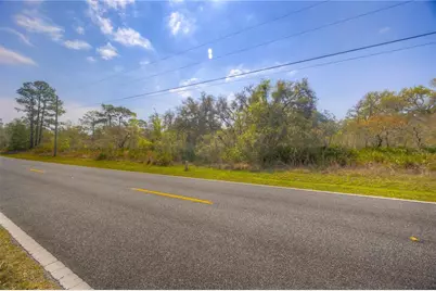 35166 Cornerstone Drive, Ridge Manor Estates, FL 33597 - Photo 3